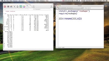 3.6 Renaming variables in R