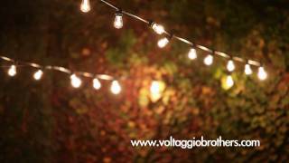 Voltaggio Brothers - A Tasteful Pursuit Content