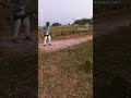 #cricket #sorts
