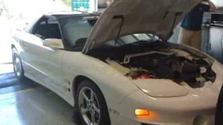 2000 Pontiac Trans Am Firehawk Dyno