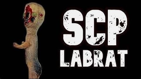 Playing scp labrat on sidequest (download in des)