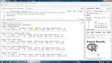 16. Getting the Statistical Indicators by Group with DescribeBy in R