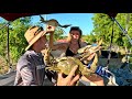 Remote fishing and crabbing  hunting elusive barramundi  catch clean and cook fresh seafood