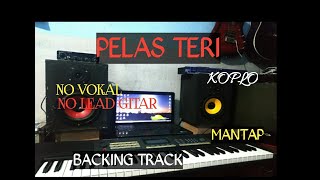 pelas teri koplo no vokal dan lead gitar || backing track