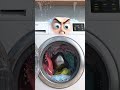 cosas hablando 😂😂😂😂 #ytshorts #funny #humor #memes #animation #ia #viral