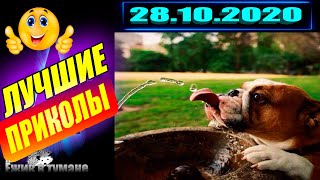 РЖАКА до Слез  BEST CUBE  Лучшие Видео из Инстаграм  BEST COUB  Видео Приколы  Отборные ПРИКОЛЫ