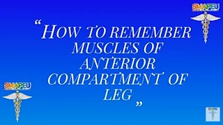 ANATOMY MNEMONIC (2)  MUSCLES OF ANTERIOR COMPARTMENT OF LEG