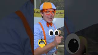 How Many Blippi's Are There!! #hideandseek #counting