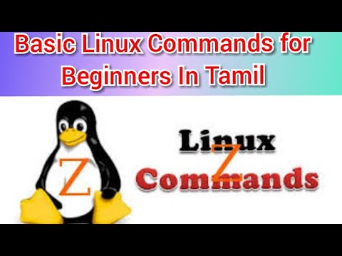 Basic Linux Commands for Beginners - YouTube