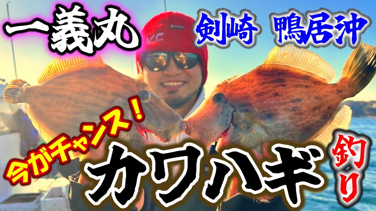 【東京湾カワハギ】絶品肝パンカワハギを狙って、バラさず大事に釣っていく修行【一義丸】