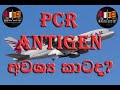 PCR සහ Antigen  අවශ්‍ය කාටද? / Sri Lankika Qatar Api