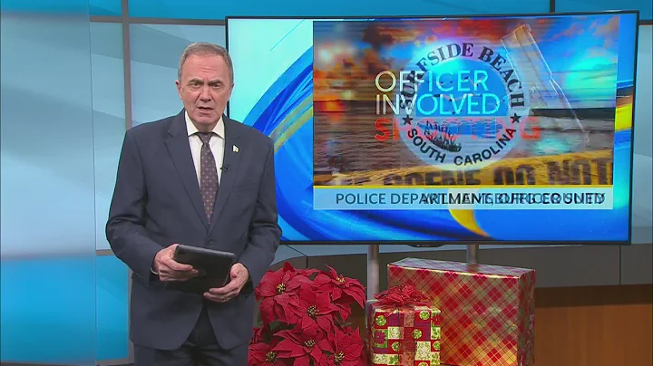 Woman sues Surfside Beach police alleging excessiv...