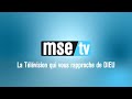 Msetv afrique