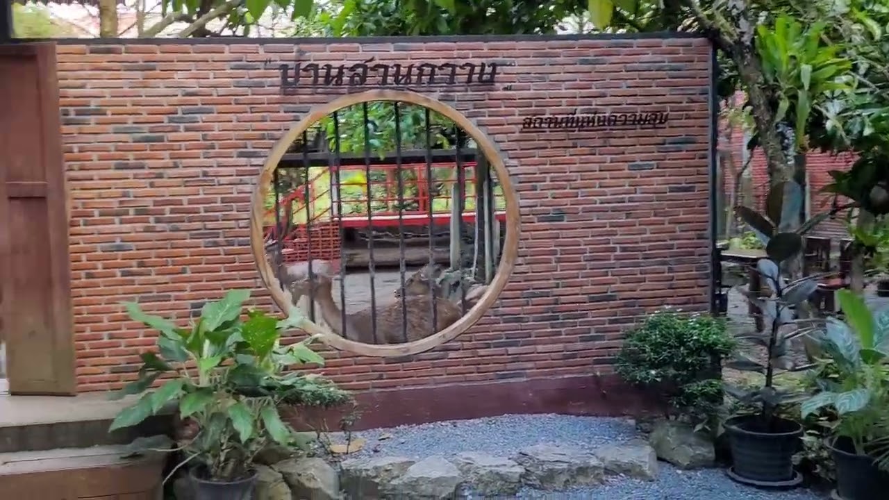 บ้านสวนกวาง พัทลุง @mildiestyle3175