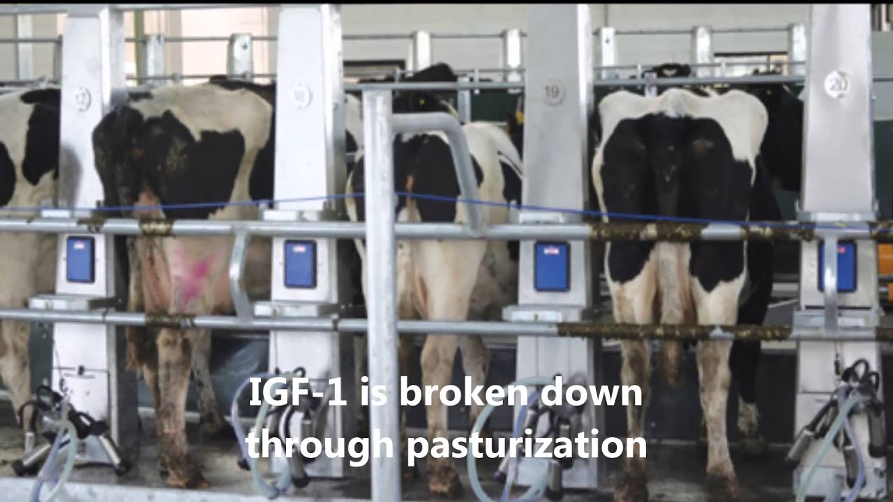 Rbst Testing The Truth About rBST Video edited - YouTube