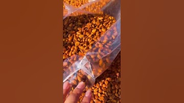 Open large new pine nuts #shorts #viralvideo #youtubeshorts #trending