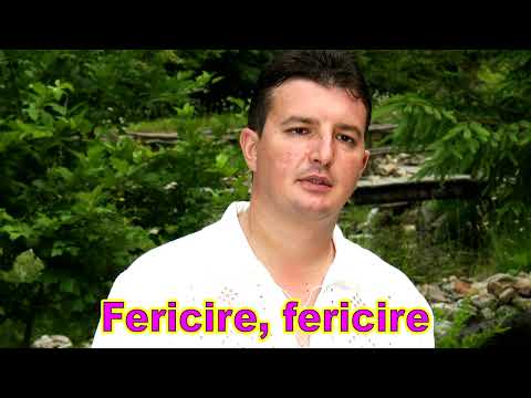 Calin Crisan - Fericire, fericire