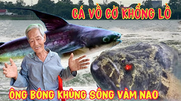 Sông Vàm Nao thợ lặn tiết lộ chạm mặt Cá bóng khổng lồ ở đáy sông nơi rúng có cá bà cậu canh giữ