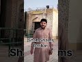 Shah shams darbarumer sher vlogs