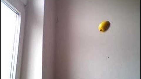 KASHADURA "3says" - sour