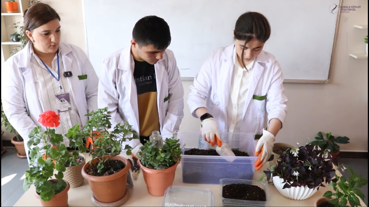 🌱 Tədrisdən sahəyə doğru: bitkiçilikdə real bacarıqlar