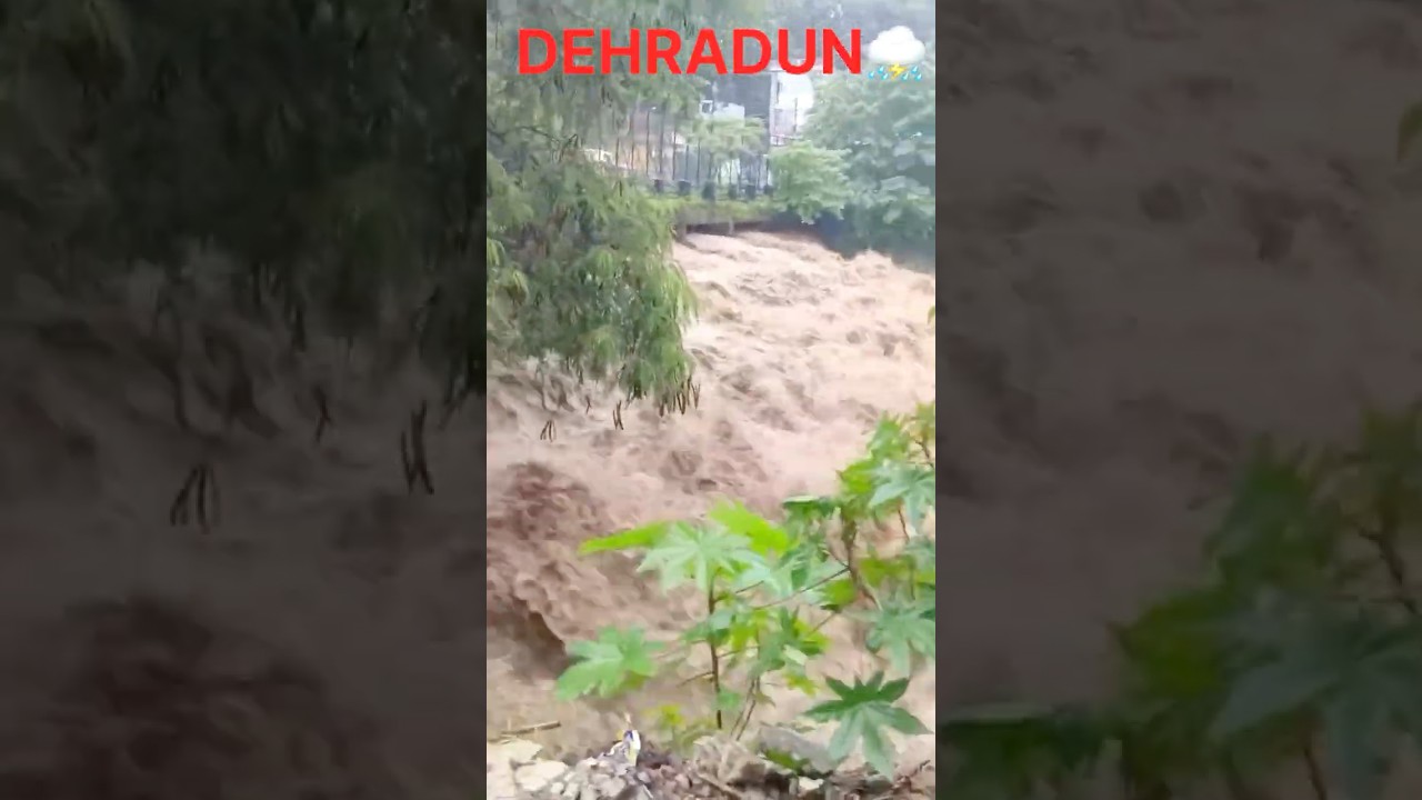 Dehradun⛈️ | Stay Alert 