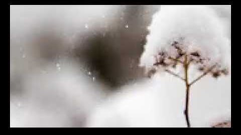 سورة ق الحنجرة الذهبية القارئ اسلام صبحي Surah Qaf_144p.3gp