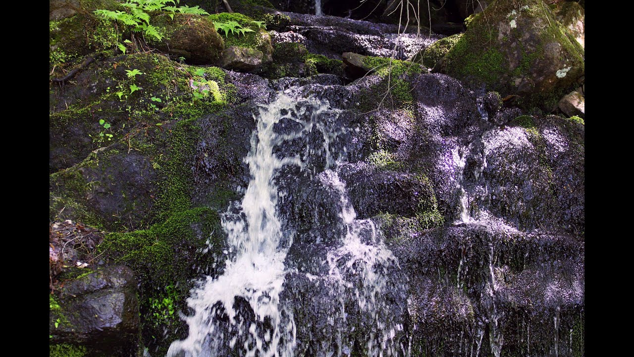 Wilberforce Ontario YouTube