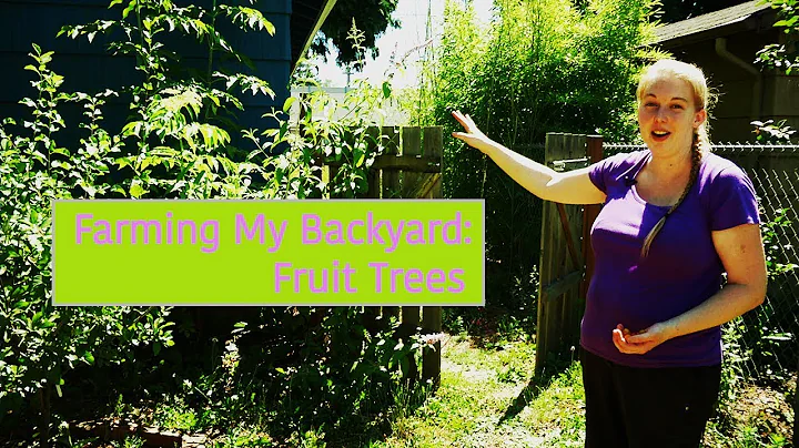 Farming My Backyard Tour - Fruit Trees - Mobile Mi...