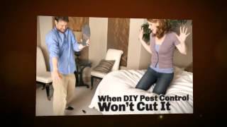 "cockroach control hartford ct" Alert Pest Control (Video)