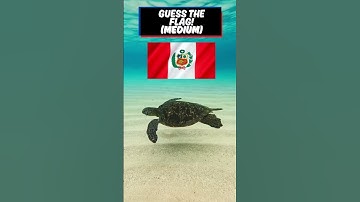 TheDailyBlitzQuiz - Guess the Flag!  Part 3🌍🚩 Can You Name Them All?   #thedailyblitzquiz