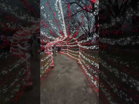 Video: Garden Glow Bayram İşıqları