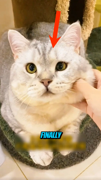 DON'T CHECK THE SOUND PLZZZ 🚨