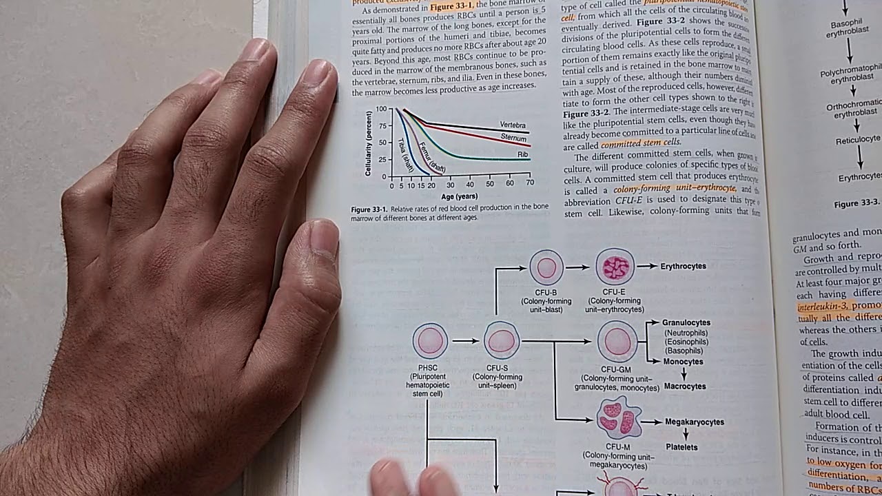 Figure 33 2 Figure 33 2