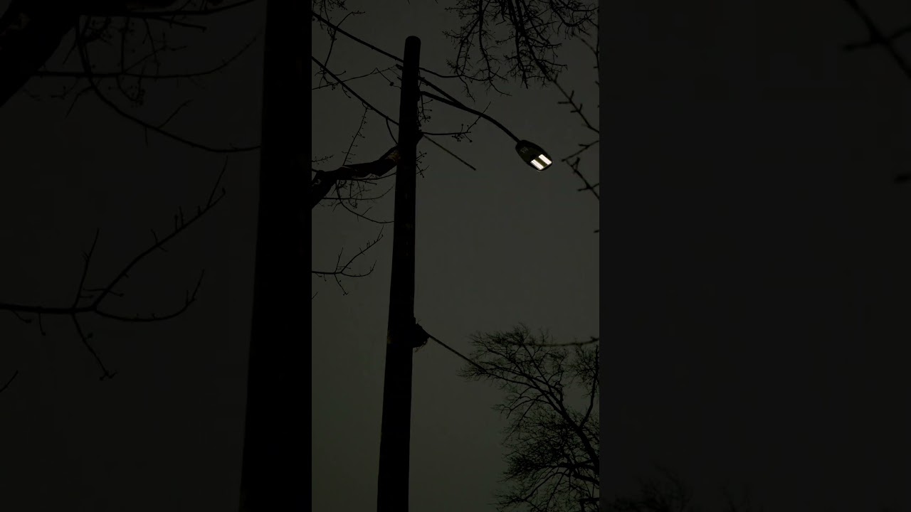 🎥 John Konner #director #videographer #matrix #night