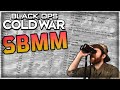 Black Ops Cold War Alpha - SBMM Small Tests