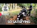 Watching 5 Tree Stumps Disappear 😮💨 | So Satisfying | TAG Tree Care 🌳