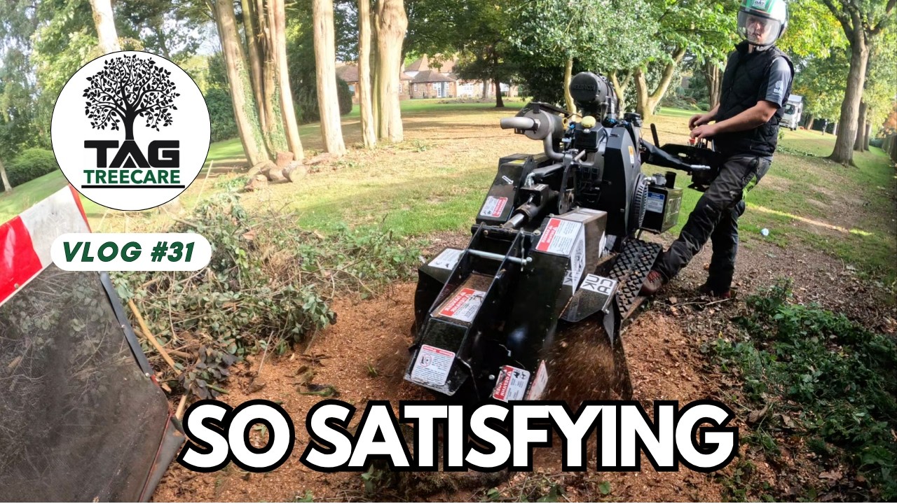 Watching 5 Tree Stumps Disappear 😮‍💨 | So Satisfying | TAG Tree Care 🌳