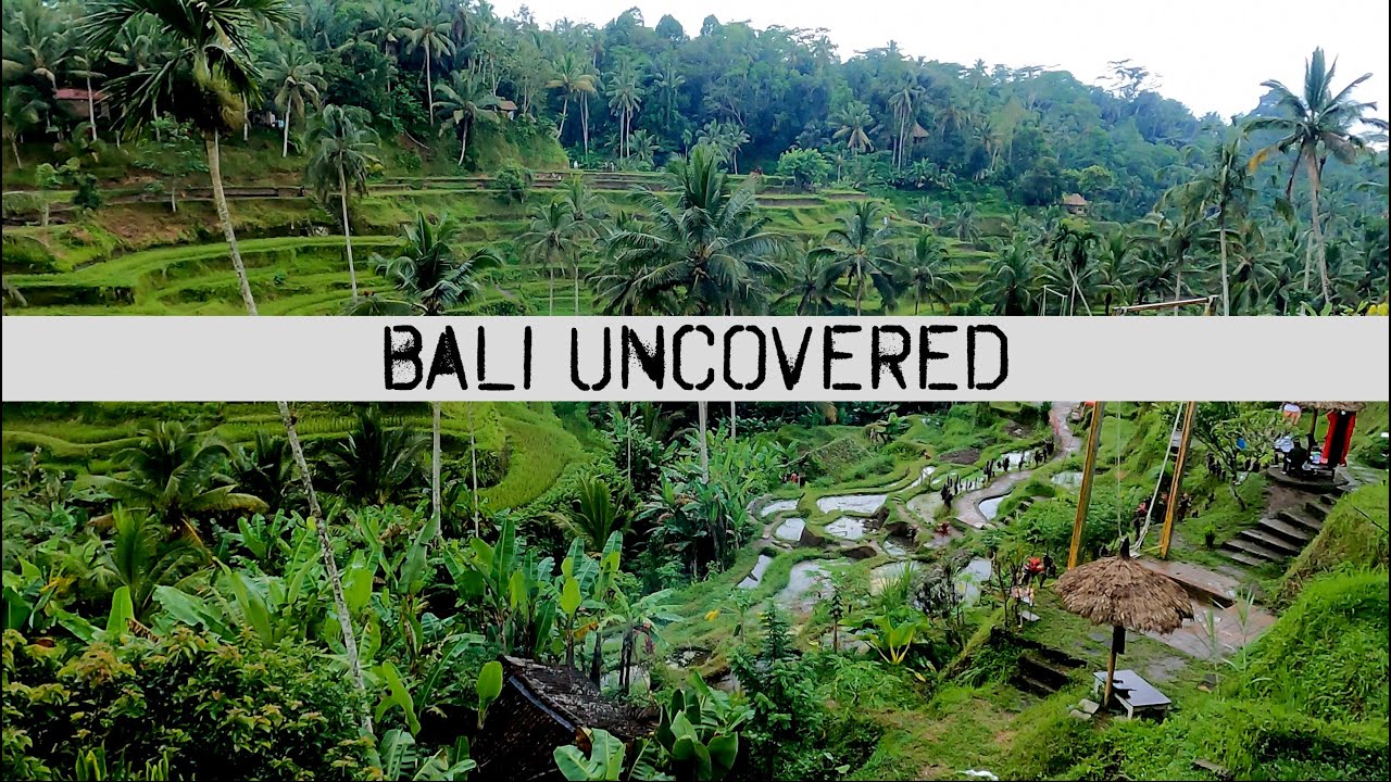 Bali Uncovered… all you need to know before coming to Bali. Ep1 Sailing Ocean Fox Ep 252