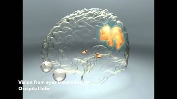 User authentication system using EEG signal with Emotiv headset