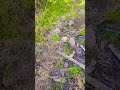nature is so relaxing 😌😌 #everyone #likeandsubscribe #naturephotography #naturelovers