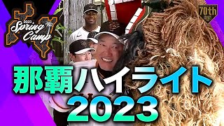 【春季キャンプ】那覇ハイライト2023【たっぷりお届け】【巨人】