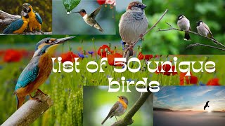 Name Of Birds Nature List Of 50 Unique Birds Name