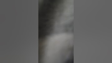 My first loop #loop #video #repeat