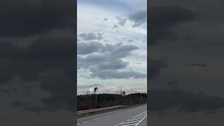 Россия и ее природные богатства в 20 минутах от Петербурга. Заказник Зубровка