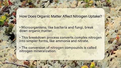 How Does Organic Matter Affect Nitrogen Uptake? - Ecosystem Essentials