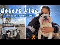 Desert Diary Vlog Episode 2 | What's Been Going On Lately