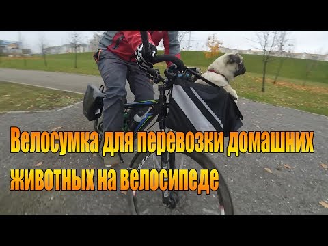 Как возить собаку на велосипеде