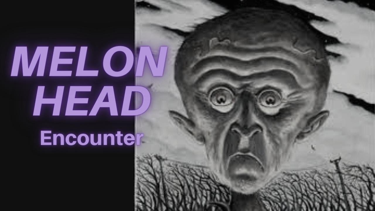 A Melon Head Encounter