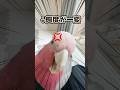 オウムに「雨なのでお散歩行けない」と伝えたら態度が..ww【モモイロインコ】 #shorts